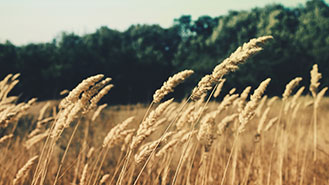 CC在线压力测试